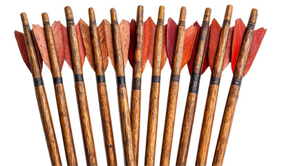 Fototapeta premium Colorful arrow fletchings on wooden shafts