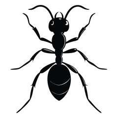 black cartoon ant isolated on white