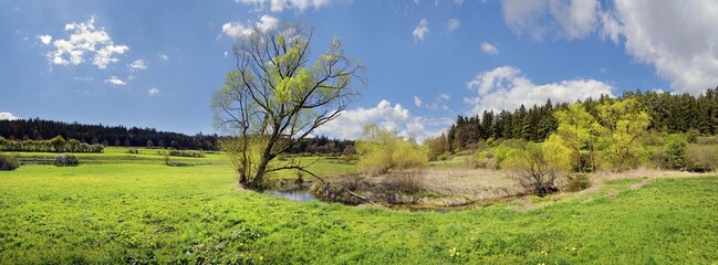 Spring at the idyllic brook and biotope Morsbach, Emsing, Titting, nature park Park Altmühltal,...