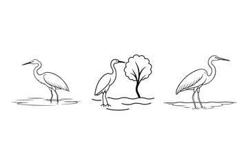 Obraz premium Egret Set Line Art Vector Illustration