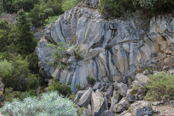 Volcanic basalt rosette, Piedra de la Rosa, Canary Islands, Tenerife, Spain, Europe