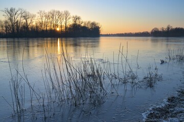 Sunrise on the forested Old Rhine, Xanten, Lower Rhine, North Rhine-Westphalia, Germany, Europe