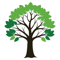 Fototapeta premium tree isolated on white