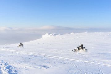 A panoramic view of the covered with snow trees in the snowdrifts. Magical winter forest.