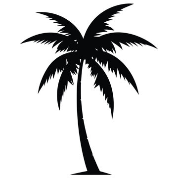 recommend clip art: palm tree silhouette