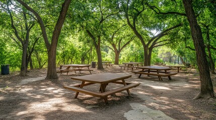 Peaceful Outdoor Picnic Area Surrounded by Trees