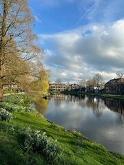 Fototapeta premium Scenic view of beautiful flowers, tree and canal under blue sky