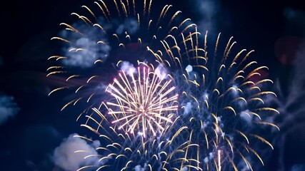 Bright, colorful fireworks illuminate night sky, creating stunning visual spectacle. perfect for celebrating New year holidays, festivals, or special occasions with joy and excitement.