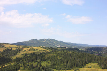 Picturesque view of forest in mountains under blue sky