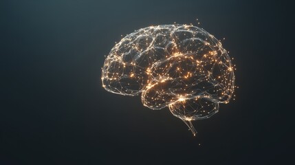 x-ray of human brain with neon lights