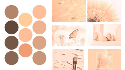 Peach fuzz color themed collage on white background