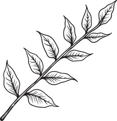  a black and white line drawing of a branch with six leaves. The leaves are arranged in a symmetrical pattern