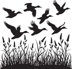 Obraz premium duck bird flock flight over marsh herbs, vector silhouette, isolated on white background 