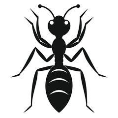 Black ant vector illustration on white background.
