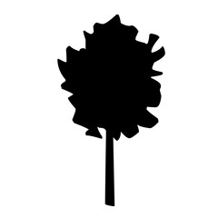 Silhouettes of Diverse Tree Species free download 