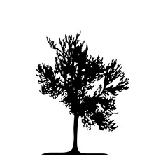 Elegant Silhouette Logo Design free download 