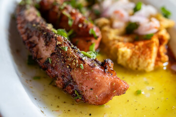 Grilled octopus tentacle with hummus, green onion and olive oil. Mediterranean food.