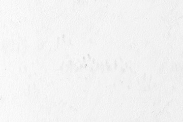 Cat footprints or paw prints stains on concrete wall. Grunge and rough surface. Background and backdrop of dirty cement wall. Red soil stains on the wall. 