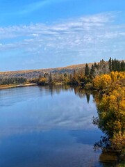 Bright Colorful Autumn Forest Reflected in River, Siberia, Russia