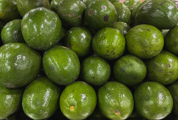Fresh green avocados from the field to the market