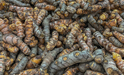 Fresh turmeric in the market