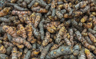  Fresh turmeric roots on the market