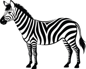 Fototapeta premium Black and white zebra standing calmly in a simple illustration style