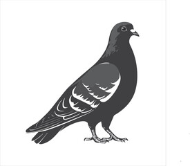DOVE  Adobe Illustrator Artwork