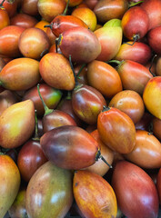  tree tomato - fresh tamarillo or salanum betaceaum