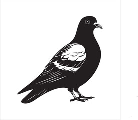 DOVE  Adobe Illustrator Artwork