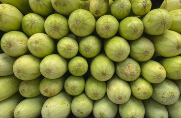 Pile of fresh zucchini