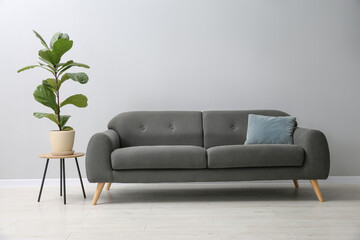 Comfortable sofa, houseplant and table near grey wall in room