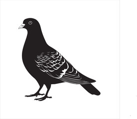 DOVE  Adobe Illustrator Artwork