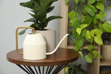 Watering can and beautiful houseplant on wooden table indoors