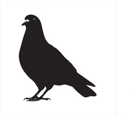 DOVE  Adobe Illustrator Artwork