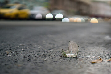 broken glass bottle with sharp edges rests on a paved road, a stark reminder of negligence. Its transparent shards glimmer dangerously, posing risks to passing vehicles and pedestrians alike