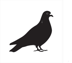 DOVE  Adobe Illustrator Artwork