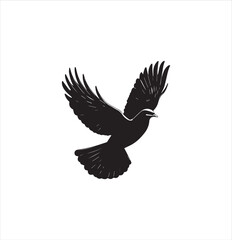 pigeon isolated on white background, bird, silhouette, eagle, vector, flying, animal, illustration, wing, nature, black, birds, dove, feather, wings, tattoo, fly, hawk, design, wildlife, flight, freed
