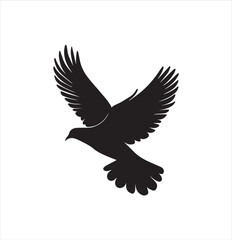 pigeon isolated on white background, bird, silhouette, eagle, vector, flying, animal, illustration, wing, nature, black, birds, dove, feather, wings, tattoo, fly, hawk, design, wildlife, flight, freed