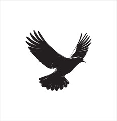 pigeon isolated on white background, bird, silhouette, eagle, vector, flying, animal, illustration, wing, nature, black, birds, dove, feather, wings, tattoo, fly, hawk, design, wildlife, flight, freed