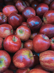 red apples in closeup