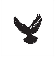 pigeon isolated on white background, bird, silhouette, eagle, vector, flying, animal, illustration, wing, nature, black, birds, dove, feather, wings, tattoo, fly, hawk, design, wildlife, flight, freed