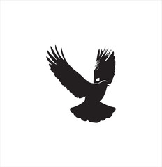 pigeon isolated on white background, bird, silhouette, eagle, vector, flying, animal, illustration, wing, nature, black, birds, dove, feather, wings, tattoo, fly, hawk, design, wildlife, flight, freed