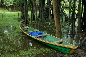 Fototapeta premium Traditional wooden canoe in Amazon mangrove forest 