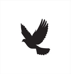 pigeon isolated on white background, bird, silhouette, eagle, vector, flying, animal, illustration, wing, nature, black, birds, dove, feather, wings, tattoo, fly, hawk, design, wildlife, flight, freed
