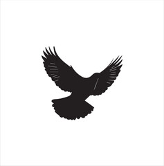 pigeon isolated on white background, bird, silhouette, eagle, vector, flying, animal, illustration, wing, nature, black, birds, dove, feather, wings, tattoo, fly, hawk, design, wildlife, flight, freed