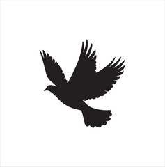 pigeon isolated on white background, bird, silhouette, eagle, vector, flying, animal, illustration, wing, nature, black, birds, dove, feather, wings, tattoo, fly, hawk, design, wildlife, flight, freed