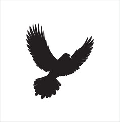 Obraz premium pigeon isolated on white background, bird, silhouette, eagle, vector, flying, animal, illustration, wing, nature, black, birds, dove, feather, wings, tattoo, fly, hawk, design, wildlife, flight, freed