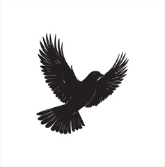 pigeon isolated on white background, bird, silhouette, eagle, vector, flying, animal, illustration, wing, nature, black, birds, dove, feather, wings, tattoo, fly, hawk, design, wildlife, flight, freed