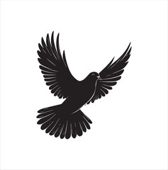 Obraz premium pigeon isolated on white background, bird, silhouette, eagle, vector, flying, animal, illustration, wing, nature, black, birds, dove, feather, wings, tattoo, fly, hawk, design, wildlife, flight, freed